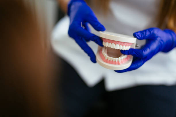 Best Traditional Braces  in Clayton, NM